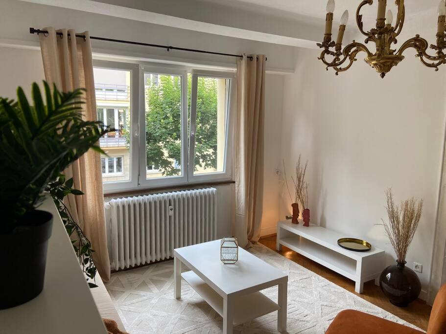 Ferienwohnung Charismatique Orangerie-10Min Parlement Eu-Wifi-Tv Straßburg Exterior foto